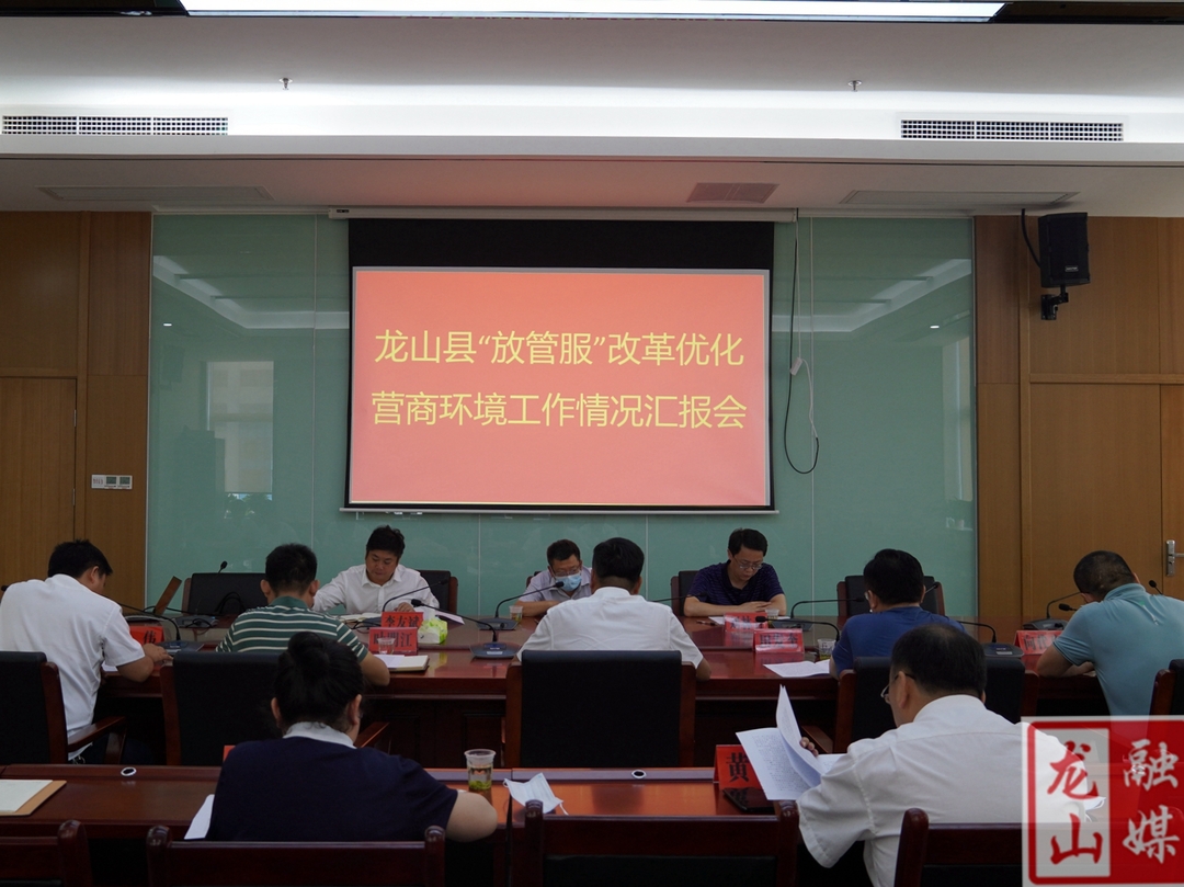 陈永实来龙山调研"放管服"改革优化营商环境工作