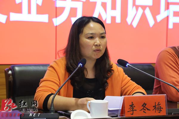 副县长李冬梅讲话