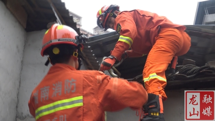 龙山：市民家中蛇出没 消防员处置解民忧