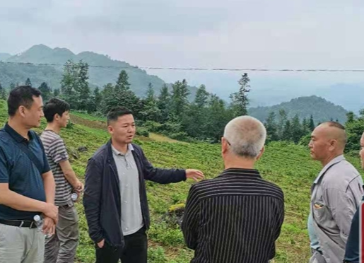 县产业办和茶叶办调研克洞村产业路