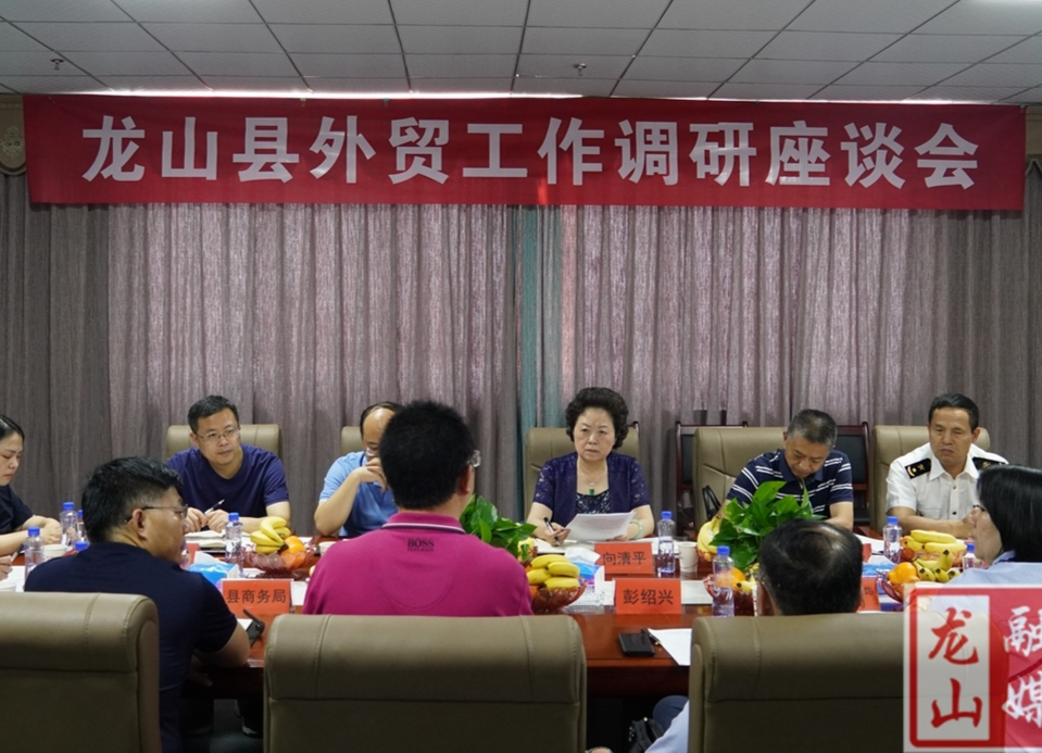 副州长向清平来龙山调研对外贸易工作