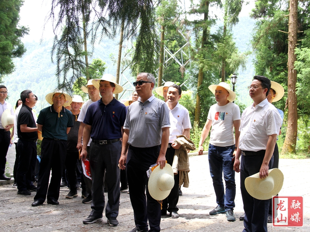 省级驻点第十四指导组临时党支部赴龙山县开展主题党日