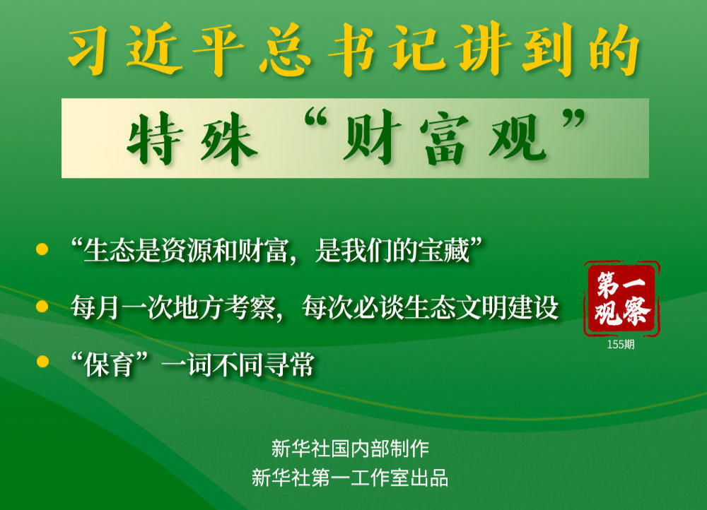 第一观察丨习近平总书记讲到的特殊“财富观”