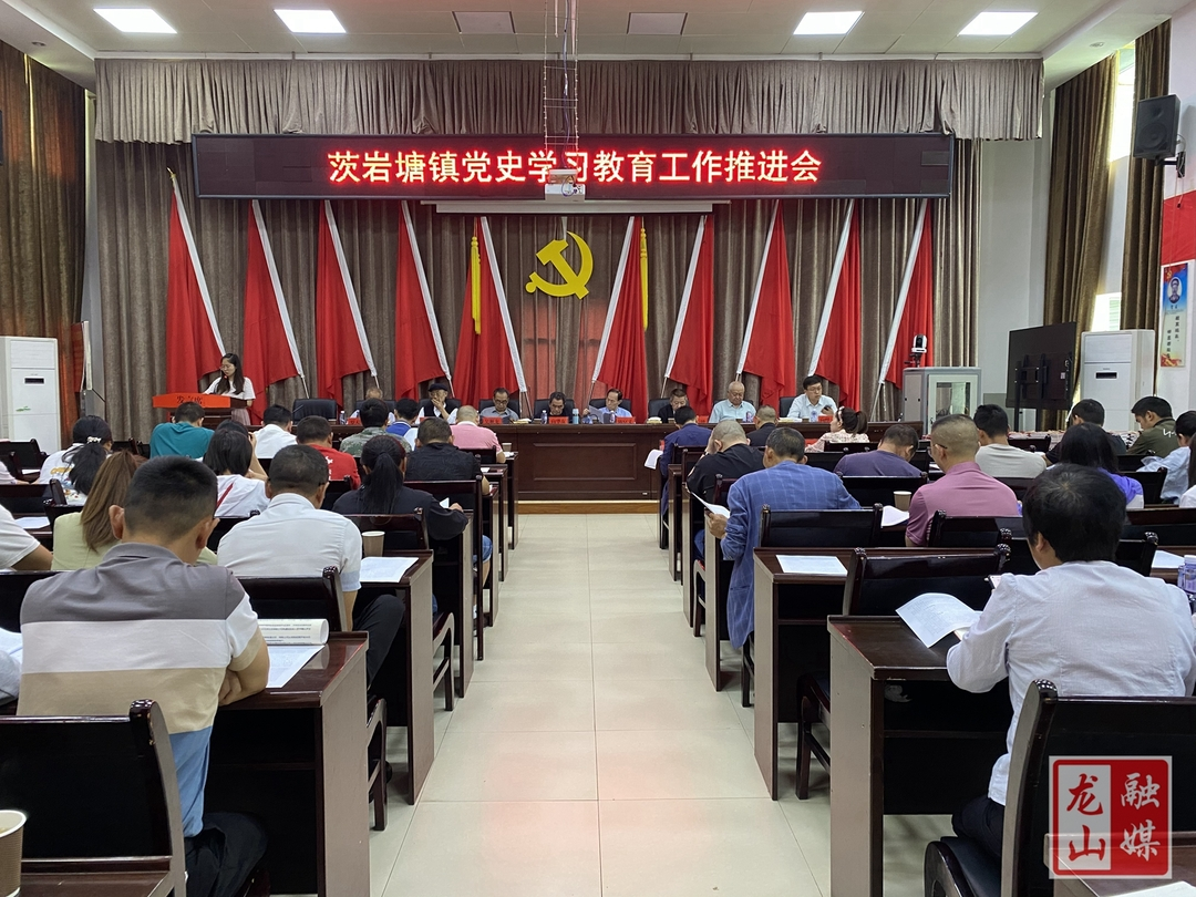 【学党史 明初心】茨岩塘镇召开党史学习教育工作推进会