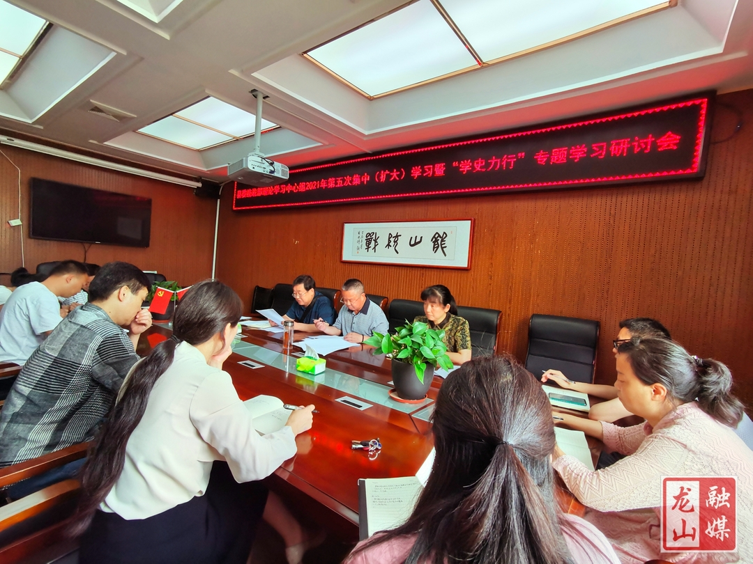 【学党史 明初心】县委统战部理论学习中心组开展第五次集中学习暨“学史力行”专题学习研讨会