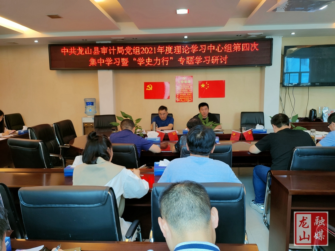【学党史 明初心】县审计局开展党史学习教育“学史力行”专题学习研讨