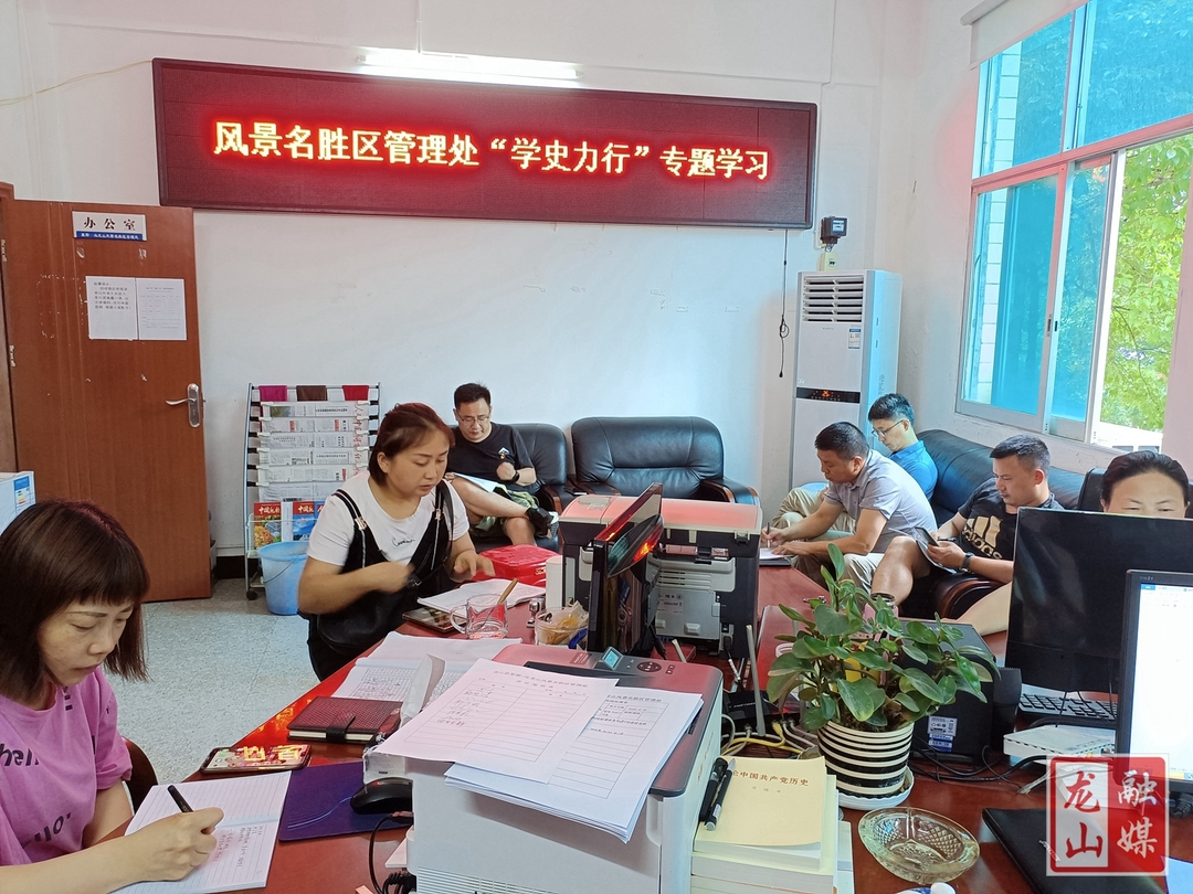 【学党史 明初心】县里耶-乌龙山风景名胜区管理处举行集体学习暨“学史力行”专题学习
