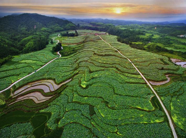 【网络媒体革命老区行】科技助力，农旅结合 红色老区建宁“绿色崛起”