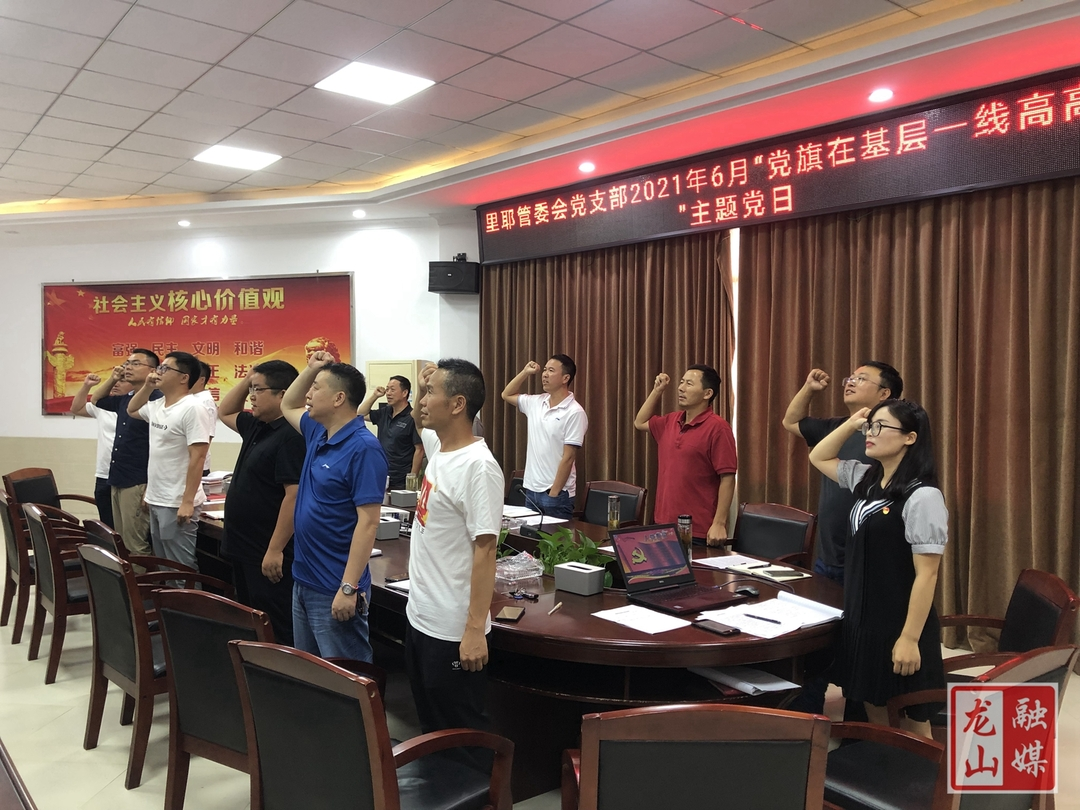 里耶管委会开展“党旗在基层一线高高飘扬”主题党日（图）