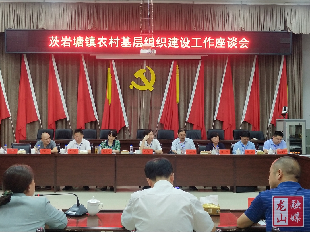 卢向荣到龙山县调研基层组织建设