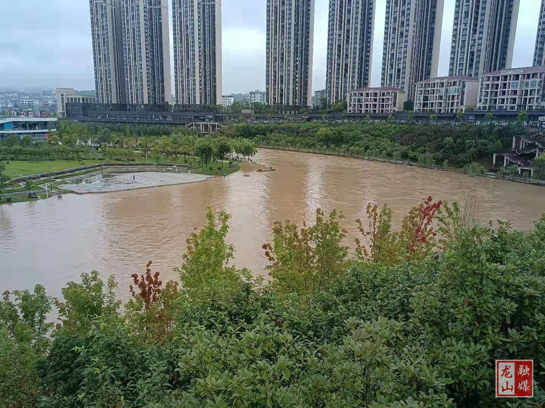龙山：最大降雨华塘团结桥站111.5毫米  果利河低洼处绿道被淹