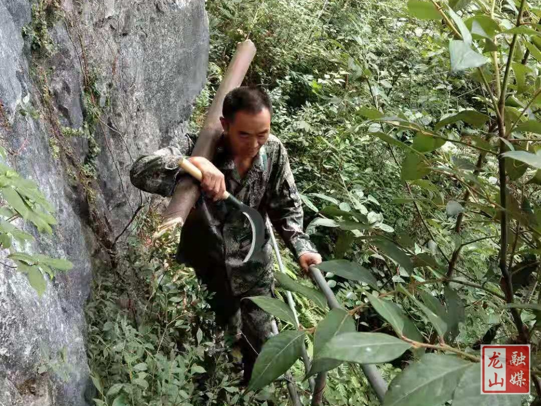 【我为群众办实事】茅坪乡龙冠村党支部书记：攀越悬崖整修生命水管 村民点赞