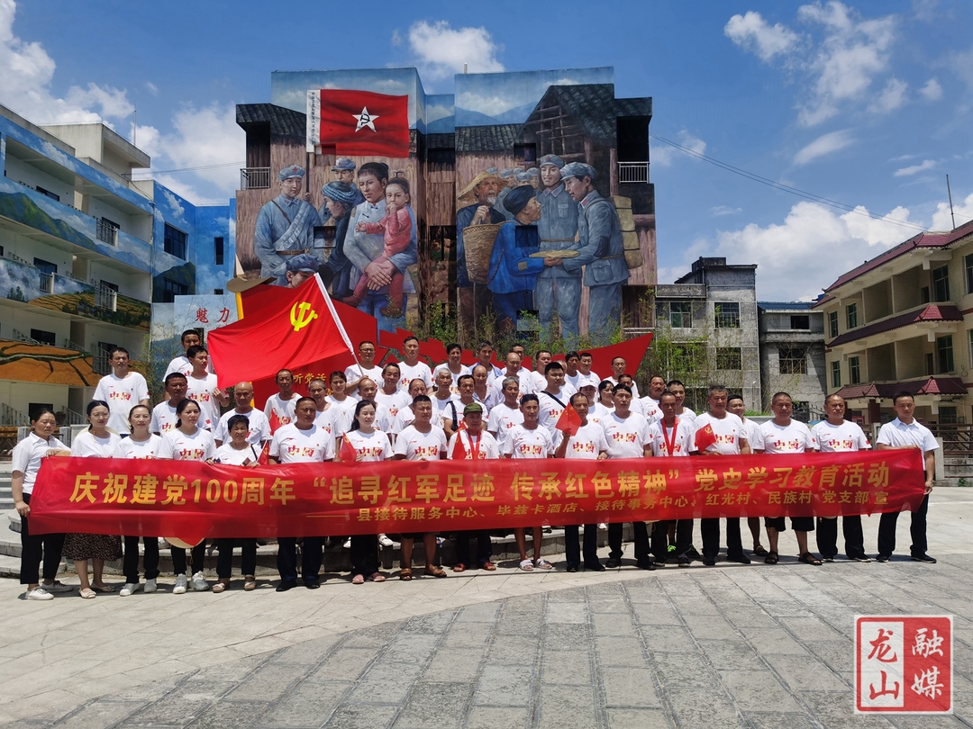 龙山多部门联合开展党史学习教育