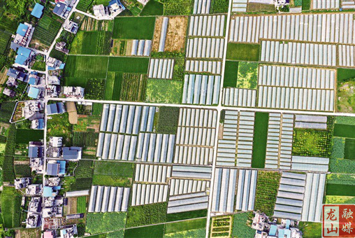 湖南日报：蔬菜产业 助农增收