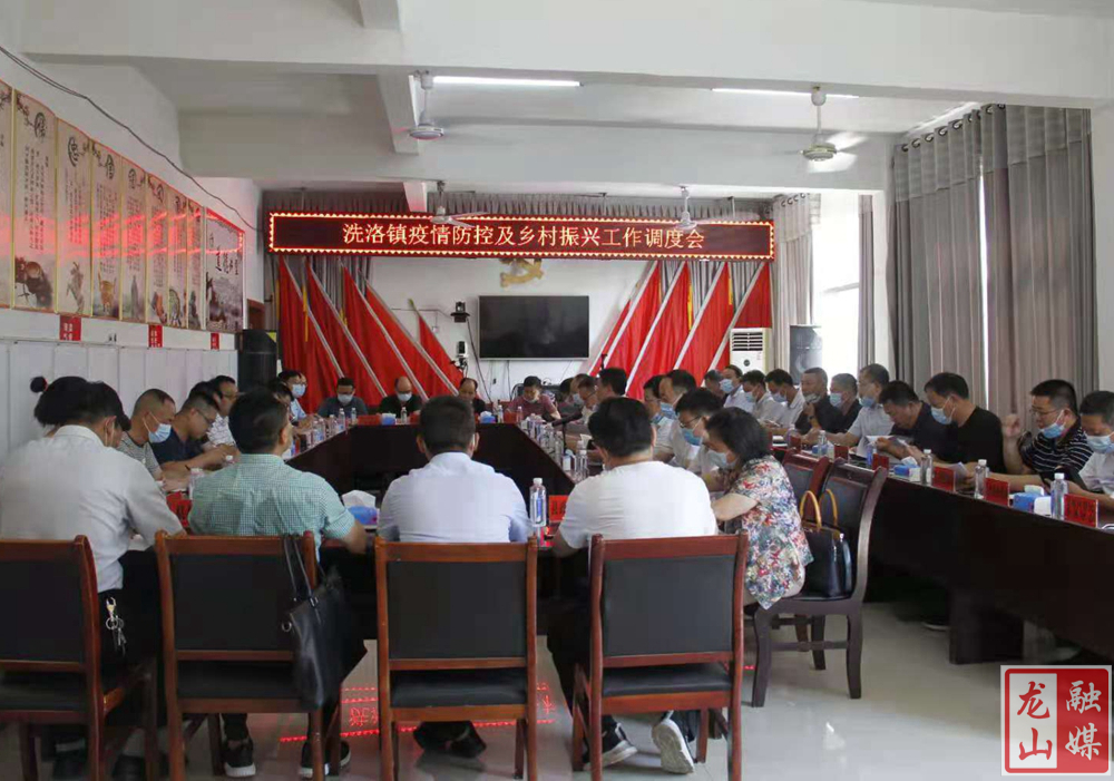 刘冬生在洗洛镇调研指导乡村振兴工作