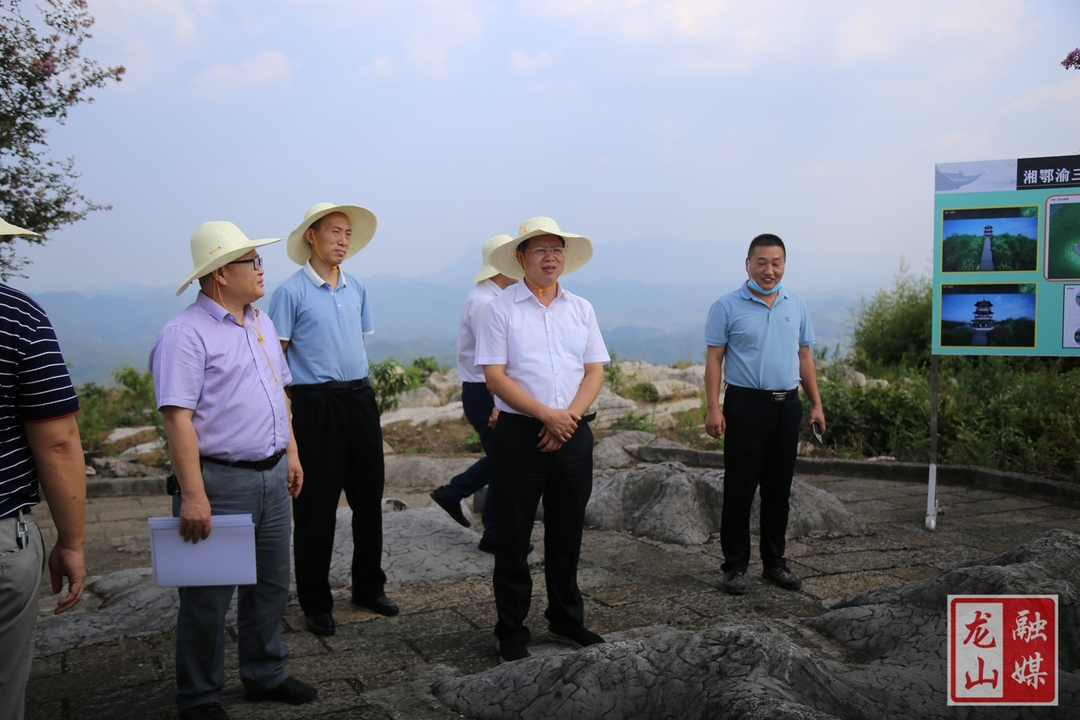 刘冬生在桂塘镇调研指导乡村振兴工作