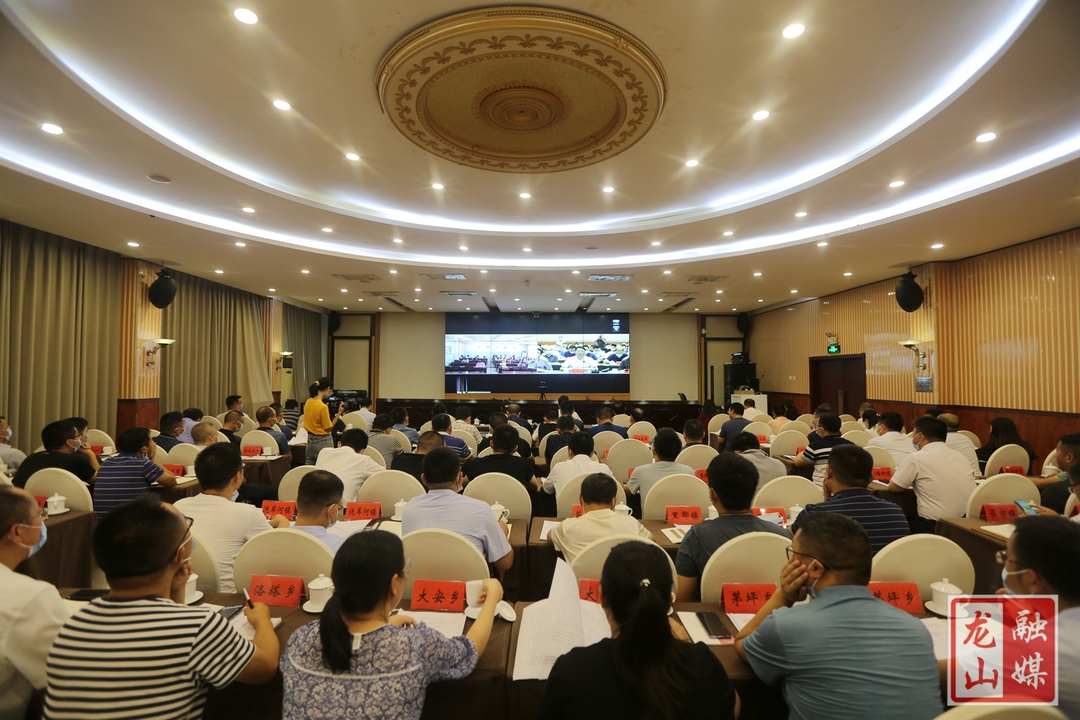 龙山县召开总河长制、林长制工作视频会