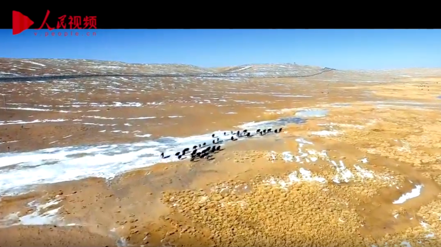 体验式专题片《坐上火车去拉萨》 第五集《籽籽同心一家亲》