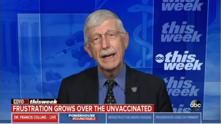 环球深观察丨美国“基础病”：疫情催化下的动荡与撕裂