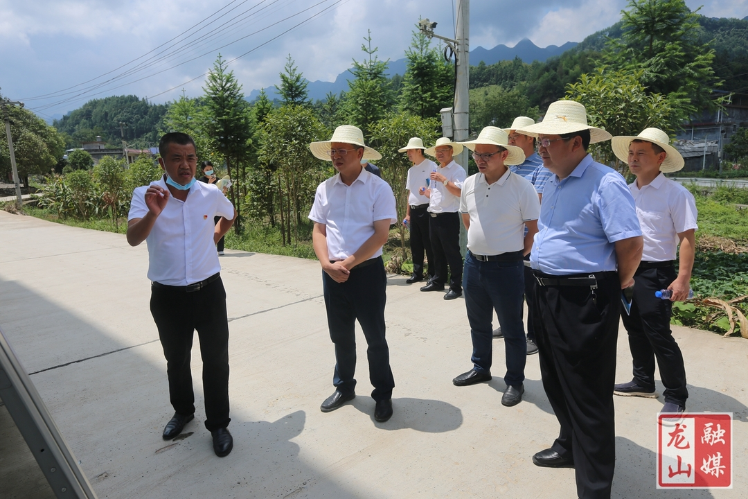 刘冬生内溪调研：加快推进一带一园一区建设  打造“幸福内溪”