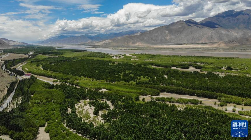 习近平总书记关切事｜听西藏故事，看沧桑巨变