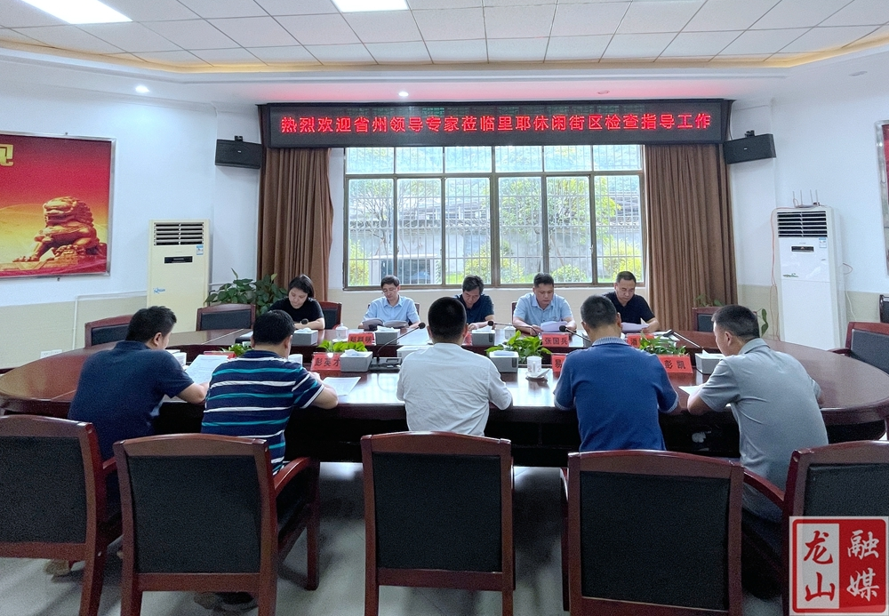 湖南省文旅厅一行到里耶古镇指导验收省级旅游休闲街区创建工作