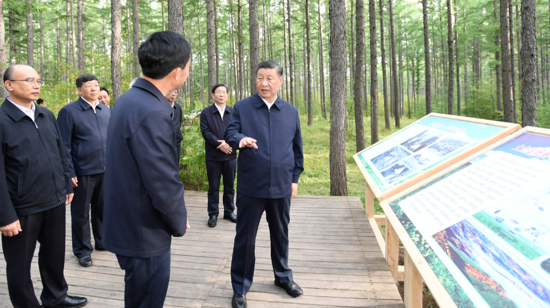 习近平：发扬塞罕坝精神，在新征程上再建功立业