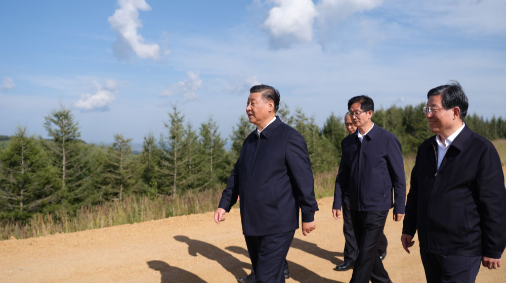 第1视点丨塞罕坝，书写新时代绿色传奇