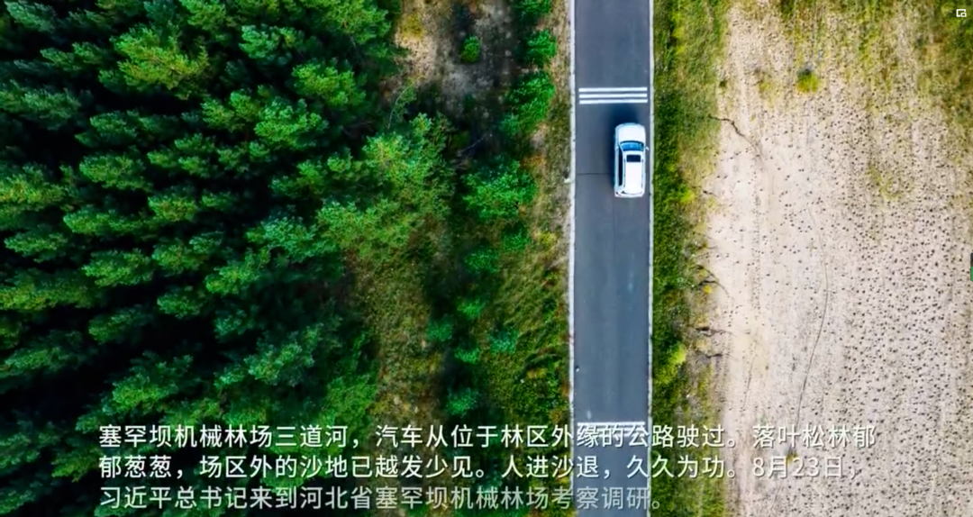 时政画说丨林海