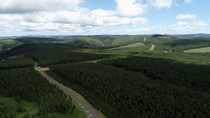 时政微纪录丨习近平总书记河北行