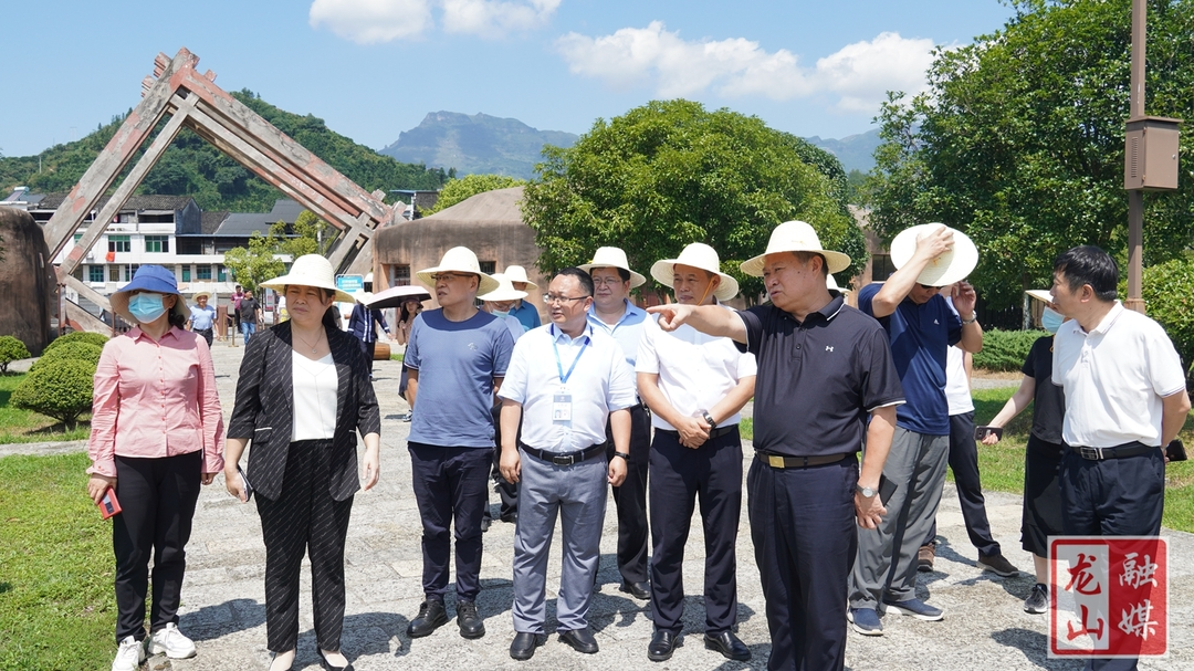 叶红专调研龙山县文旅工作