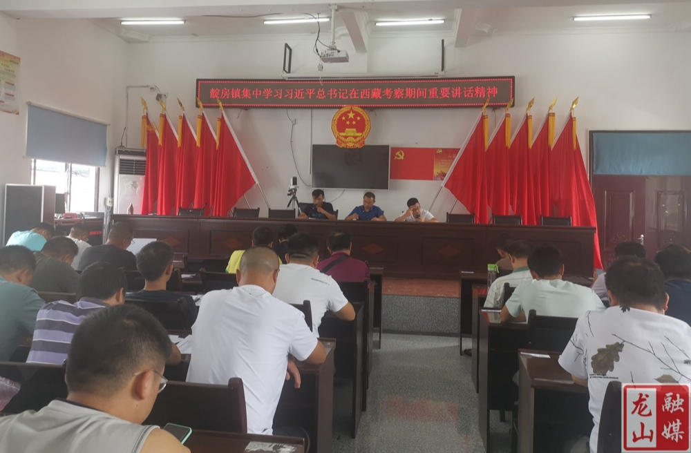 靛房镇集中学习习近平总书记在西藏考察期间重要讲话精神