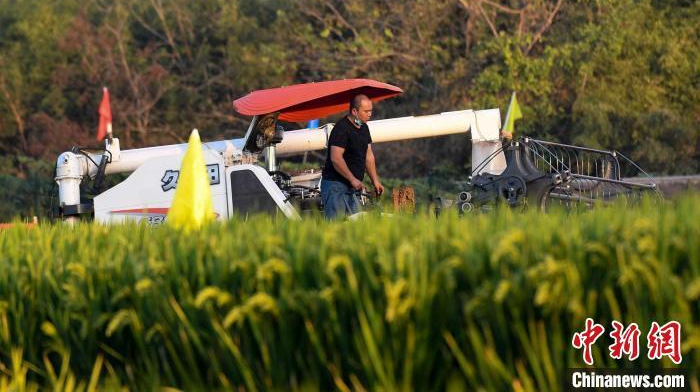 湖南：“三个高地”擘画新时代高质量发展新蓝图