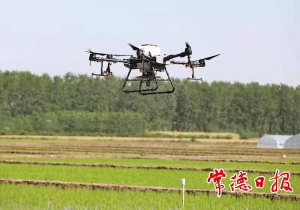 【牢记殷殷嘱托 奋力谱写湖南新篇章】“数字引擎”：擘画沅澧沃野新图景——常德大力发展数字农业助力乡村振兴综述