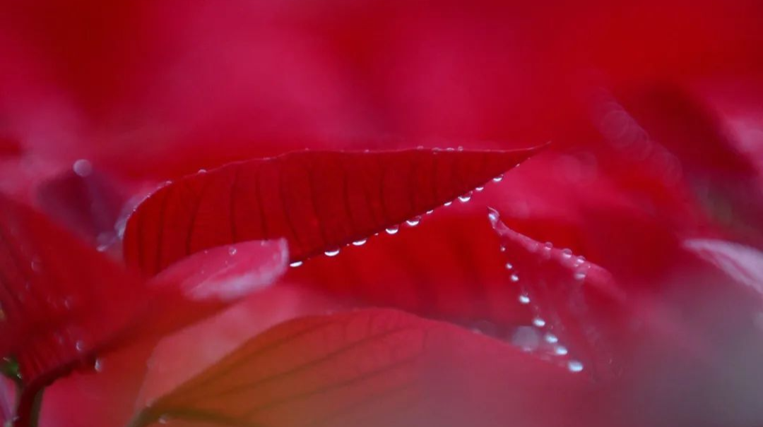 就 | 在 | 今 | 天 ，平 | 分 | 秋 | 色 ！