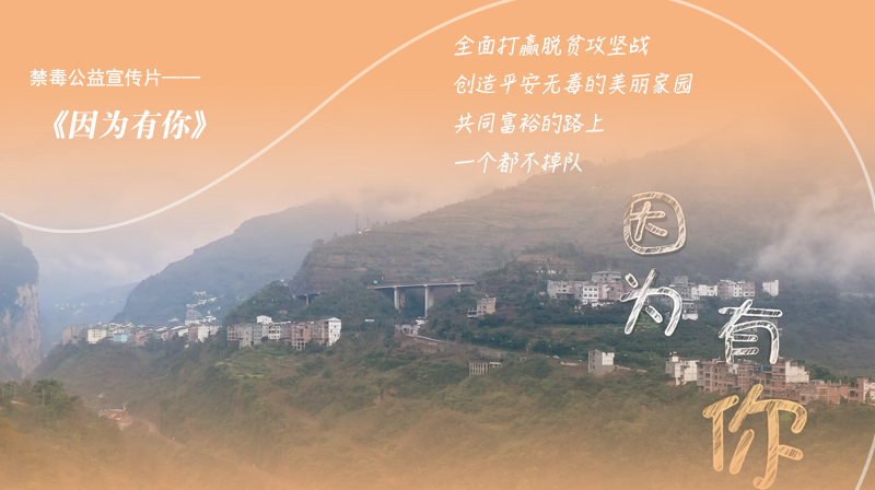 禁毒公益宣传片：《因为有你》