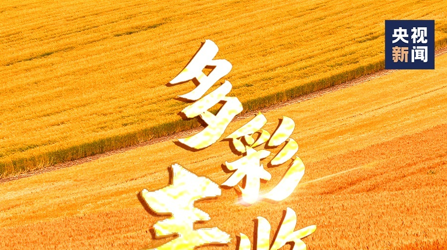 一起庆丰收！9图看中国多彩丰收季
