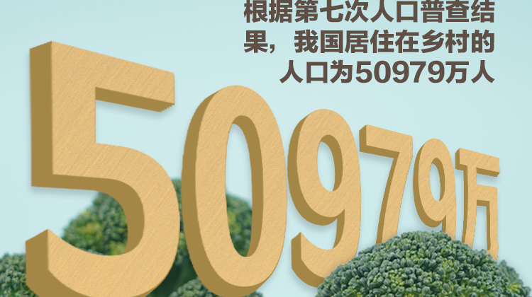 创意海报 | 自豪！中国产粮能力有多强