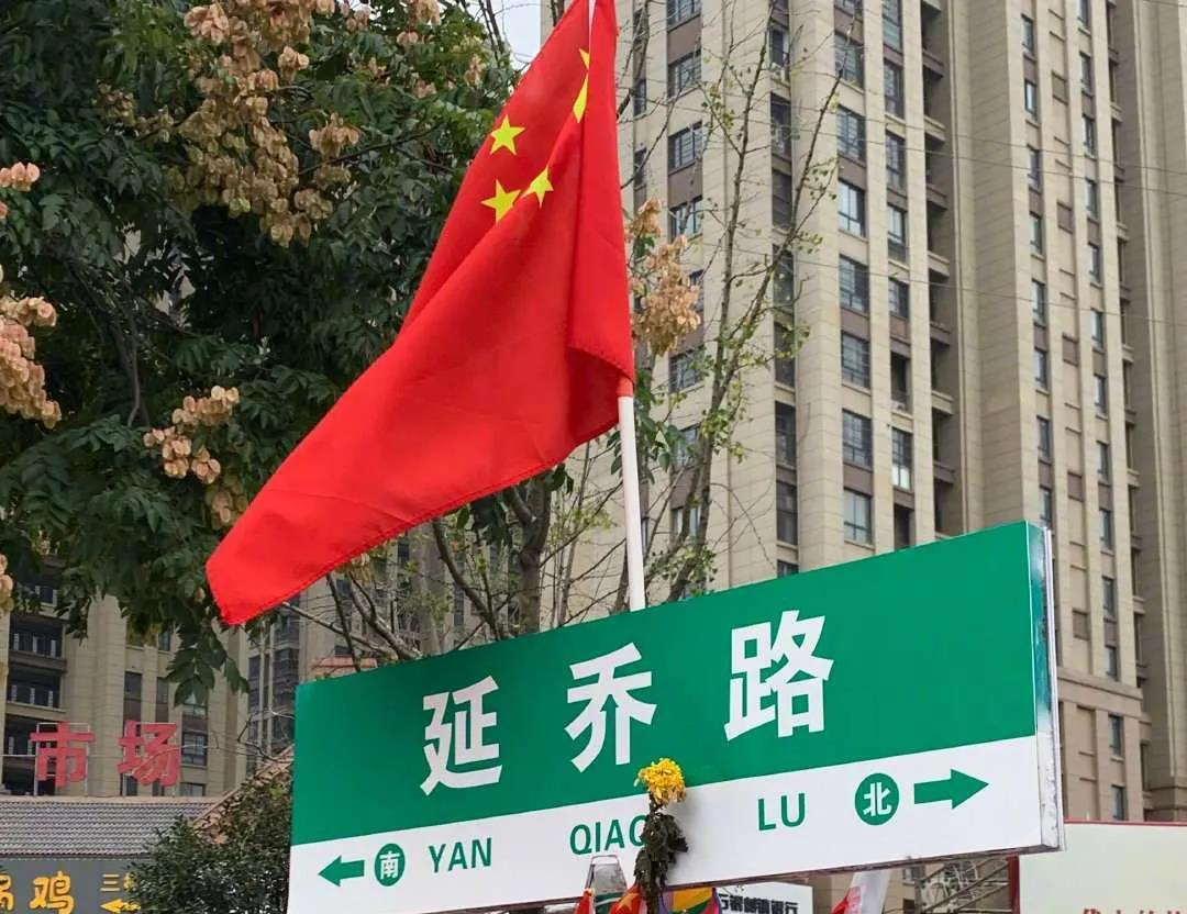 延乔路，又被鲜花包围了