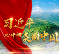 学习进行时丨习近平心中的美丽中国