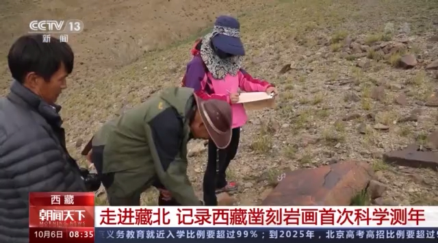 剪影式牦牛、绶带鸟、盘羊......藏北凿刻岩画中的精灵背后藏着这些秘密