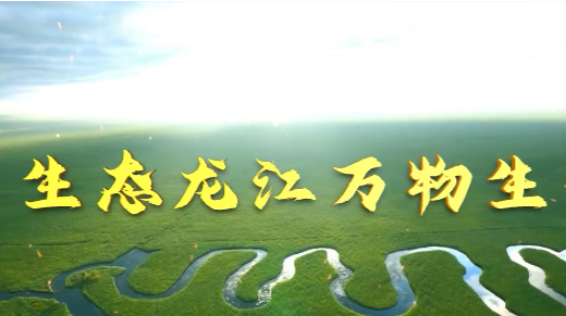 我们的共同家园｜生态龙江万物生