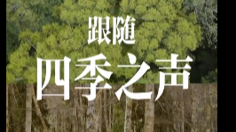 每一帧都很治愈，90秒聆听中国的春夏秋冬