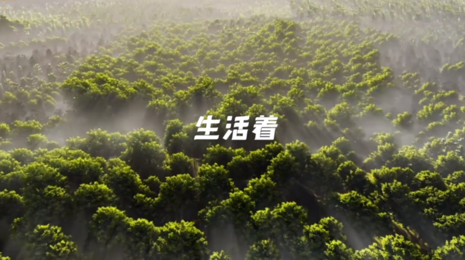 前方高萌！超多“神奇生物”出没