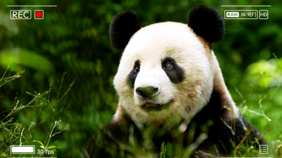 我们的共同家园｜我们的家，是国家公园