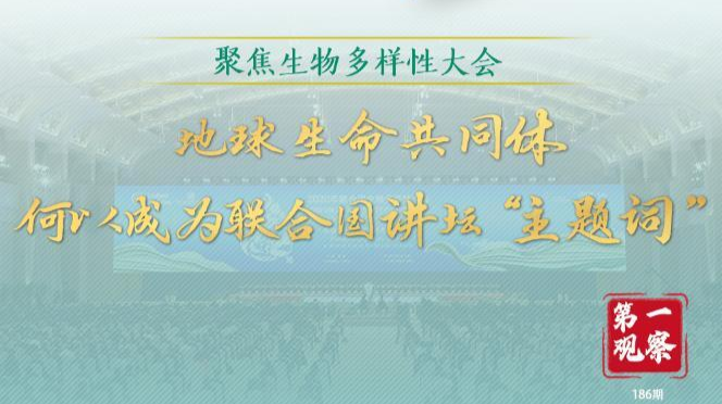 第一观察｜地球生命共同体，何以成为联合国讲坛“主题词”
