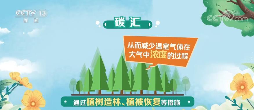 【共赴春城之约】科普 | 碳汇：用生态手段减少温室气体浓度