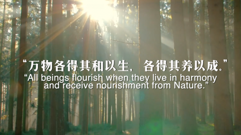 全球连线丨重磅微视频：和以生