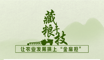 端牢“中国饭碗”，总书记这端牢“