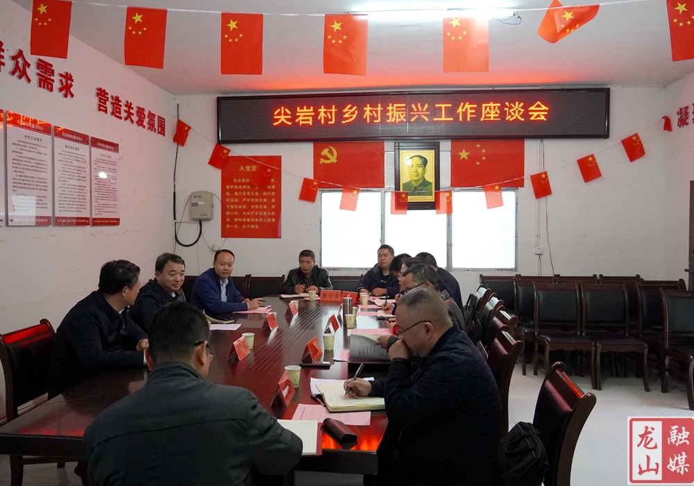 王建华到龙山县调研指导乡村振兴工作